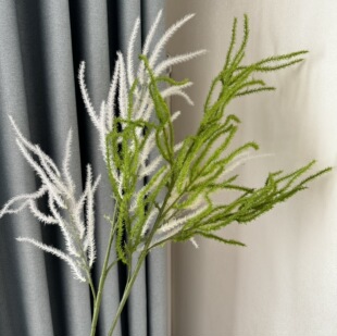 ���滨ëë�x����Gֲ�����z��c�ٻ��Ĕz���߻��Ҿӿ͏d�b��廨