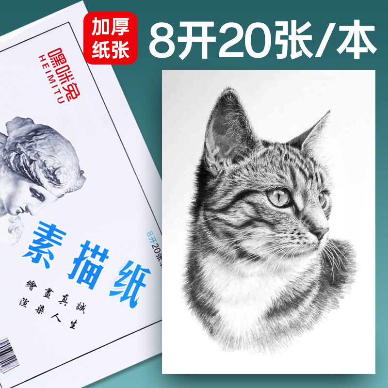 スケッチ紙水粉紙スケッチ専用絵8k美術紙幼稚園初心者絵絵紙|undefined