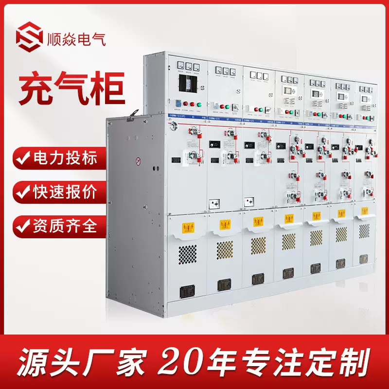 定做SRM16-12固体充气环保柜10KV高压环网柜全封闭绝缘电缆分支箱