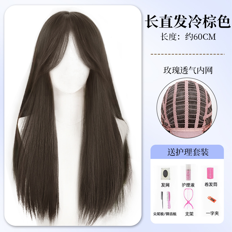 Temperament middle-parted straight hair [cold brown] + care set