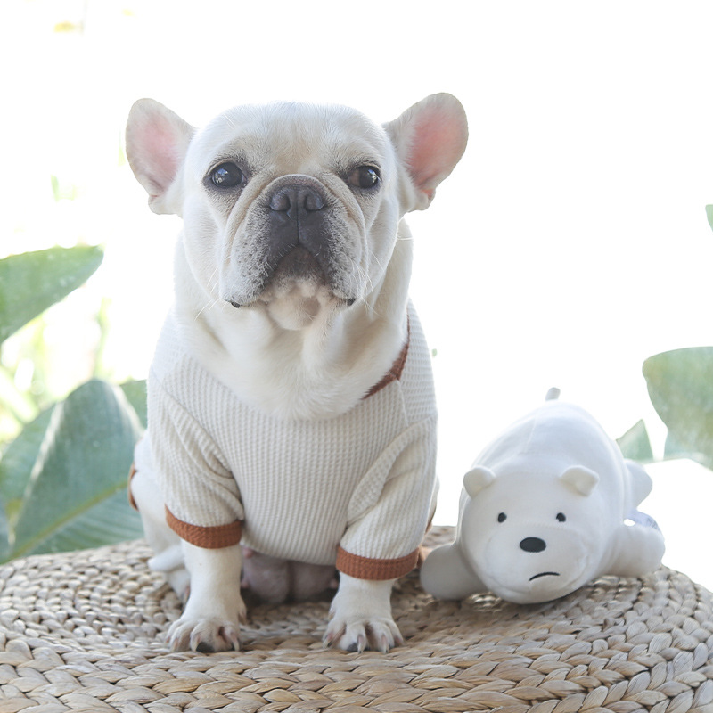 Camiseta con falda para mascotas, camiseta para parejas, osito de peluche, ropa para perros medianos_voghion.com