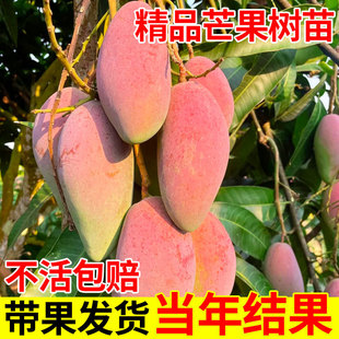 â����޽ӽ��â�ļ�â����t�F������Y��ͥԺ�̨���Ժ��B