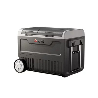 Soyuducular: System 12V24V220V Dual-Use for Car