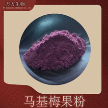 �R��ݮ�����R��÷��֭�۬F؛Ʒ�|ˮ����̖1kg�����R�������