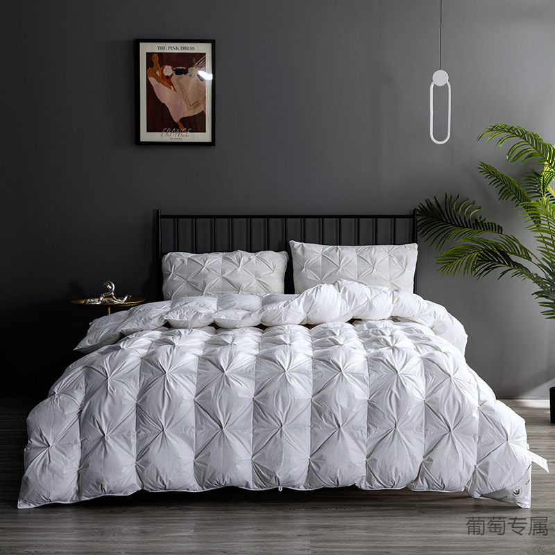 羽丝棉匈牙利羽绒被冬被春秋被空调被白鹅绒被子芯白鹅绒被鹅毛被