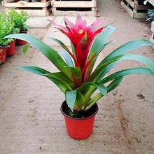 ���\���^ˮ�������׻�ֲ���k���҃ȼt�Ļ��ܾGֲ�����P���̨�͏d