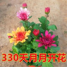 �ļ��ջ����Ԏ������l؛ȫ���_��������m��ǧ�^���̨��������