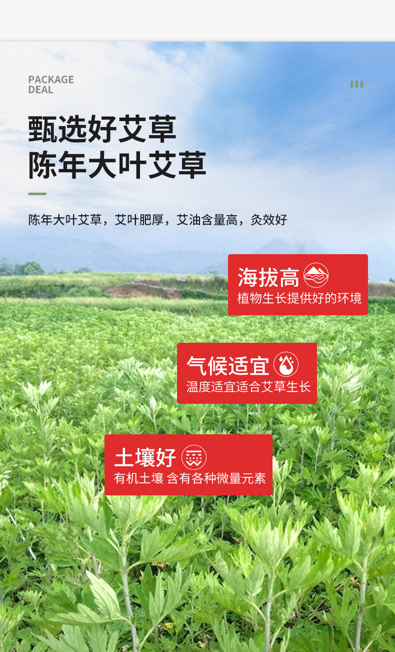 Moxa Sticks Ai Tiao 艾条 Artemisia argyi Moxibustion Rolls 1.8 x 20 cm for Warming Therapy and Indoor Use key features