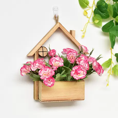 Wooden house + red edge carnation