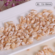 跨境天然海螺贝壳打孔黄米螺diy饰品手工项链配饰挂饰材料批发