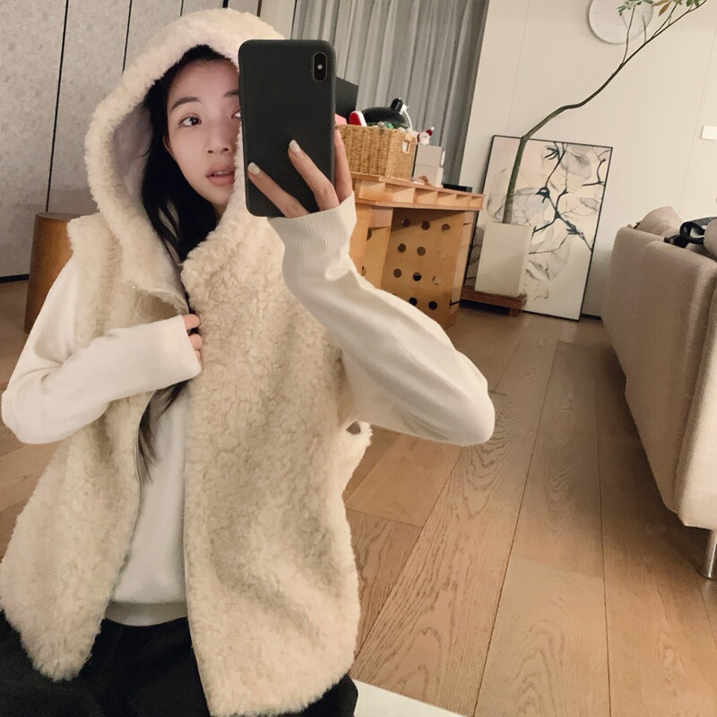 Imitation Lambswool Hooded Vest 2025 Spring & Fall New Niche Design Short Casual Layered Jacket for Women