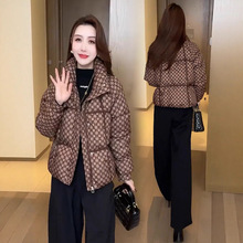 �r�������q�޷�Ů2025�����¿�С���ӱ�ů�̿����\�����������