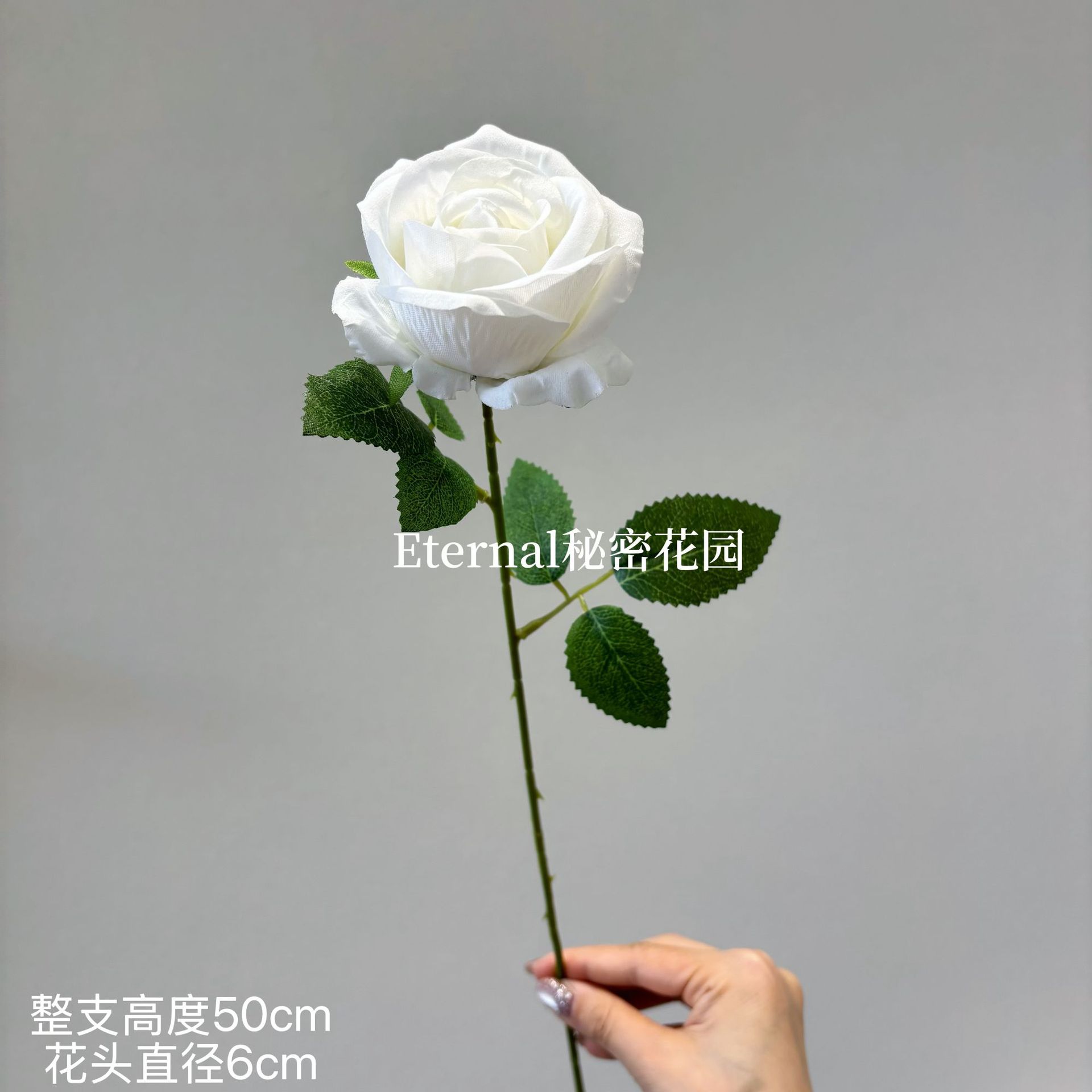 싱글 펄 로즈