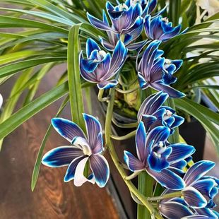 �������m���������҃��̨�Gֲ���B�׻�����F�����m���ļ��_��