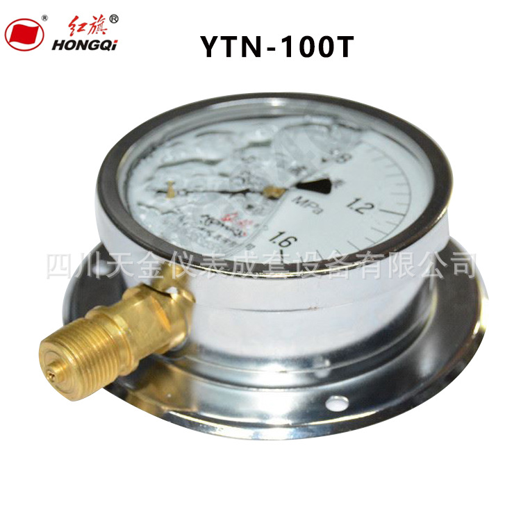红旗径向带后边抗震压力表YTN-100T不锈钢压力表船用耐震压力表