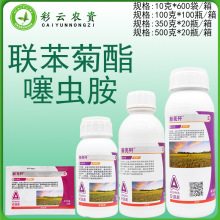 ������ ������37%������&middot;���x�������x��С�����x�rș���x��