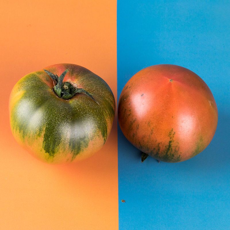 [갓 수확한 것] [불량 과일 보장] [빠른 배송] - 작은 과일 2.5kg개(엄선)