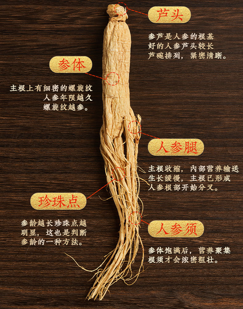 Changbai Mountain Sun-Dried Ginseng Ren Shen Whole Root Gift Box 75g 5 Roots key features