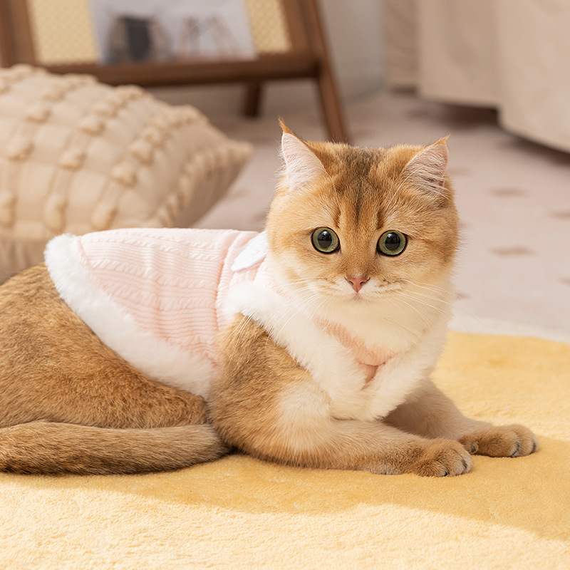 Otoño y invierno gatos estereoscópicos osos serpientes chaleco gato gato pequeño gato sin pelo ropa de peluquería de dos patas ropa de mascotas