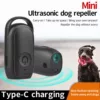 Mini Dog Dog Dog