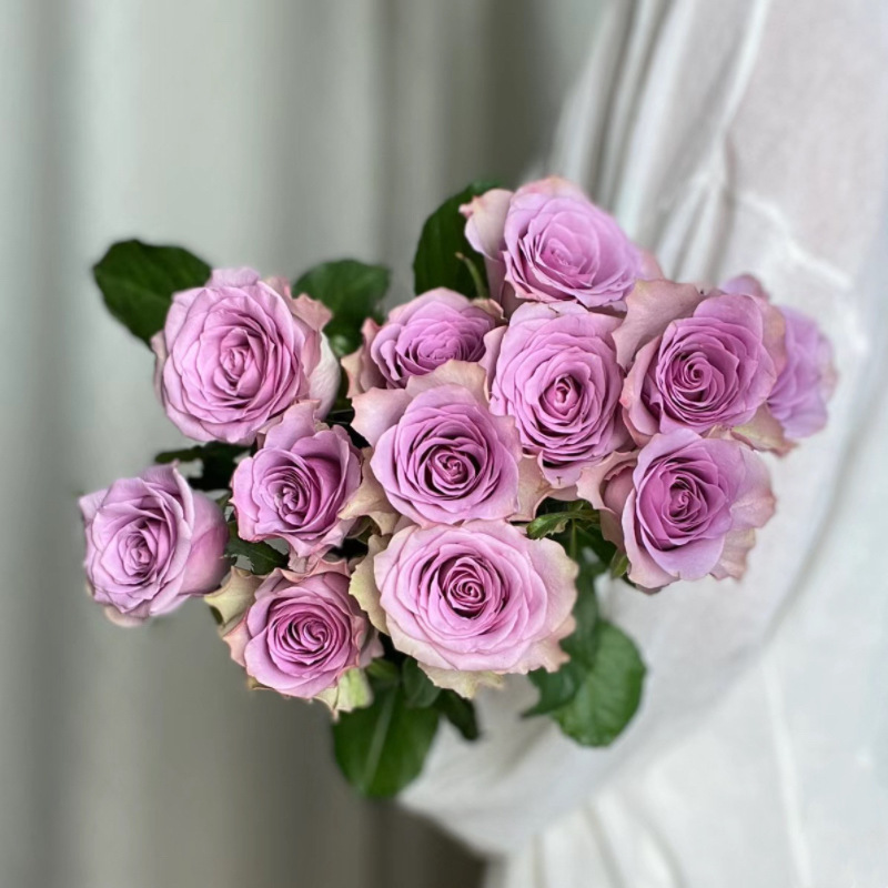 玫瑰花鲜花云南昆地批直发百合向日葵红豆家用鲜切水养插绢花|undefined