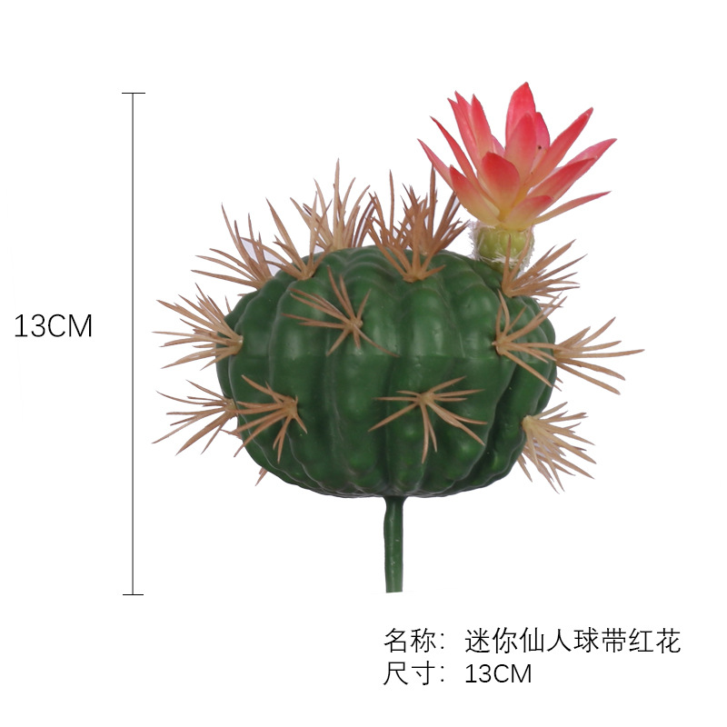Planta artificial nórdica Cactus Pilar pequeña bola de cactus decoración de la ventana planta verde decoración del paisaje traje decoración del paisaje