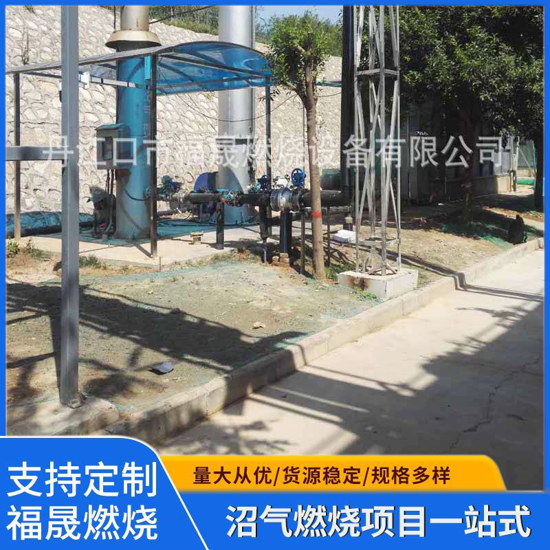 40-60立方小型沼气燃烧器沼气火炬沼气燃烧设备沼气燃烧火炬