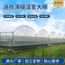 ���������� ���ϱ�Ĥ���� �B������ ���״��� �����B������