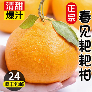 �Ĵ���Ҋ�ҰҸ̬Fժ�Б���ˮ�������ٽ��ӷǳ���