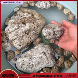 批发园艺轻石 多肉兰花植物用轻石鱼缸造景景观装饰用大块浮石