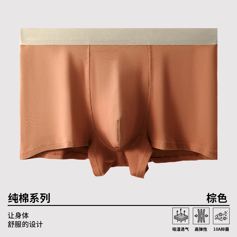 Brown [10a antibacterial]