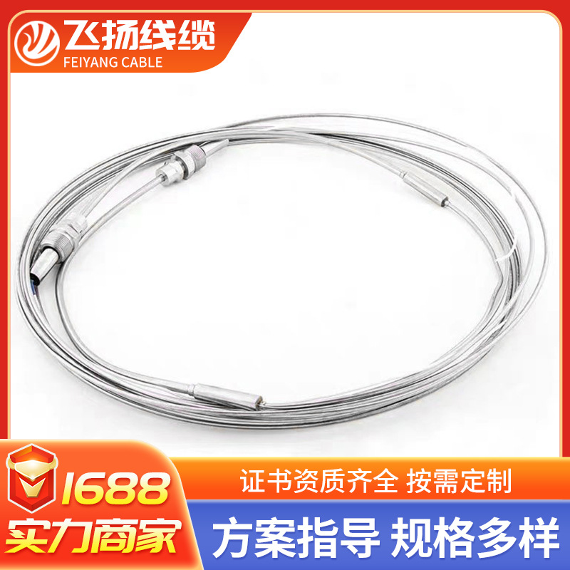 MI armored tropical pipeline anti freezing insulation heating wire insulation waterproof high temper