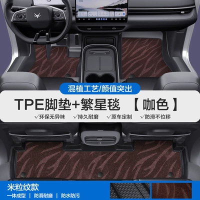 Alpha S S5 S6 t T5 — Modelə uyğun ayaqaltı - please-leave-a-message-or-note-the-model-year-when-placing-an-order-rice-grain-pattern-tpe-door-sill-mat-coffee-color-starry-blanket