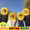 The opening ceremony of the sunflower head set of sunflower head set of sunflower face set enrollment