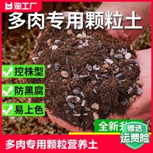 多肉营养土专用颗粒土多肉专用土种植土进口泥炭土铺面石纯颗粒励