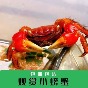 ����з��ˮС�����~�����l̩������з�����׃��@�BС����ɐ۔[��