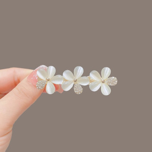 2024�¿�؈��ʯ����߅�A�ߙn����߅�l�A����A���Ś��|�n��l�