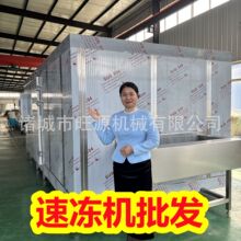 连续式水饺速冻机 果蔬流态化冷冻线 肥肠冷冻加工生产设备