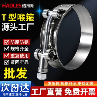304不锈钢T型强力卡箍管箍油管抱箍重型QL02B机械配件汽车喉箍夹