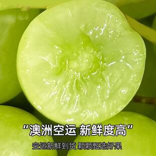 �Ĵ������M�����������������֟o�������������rˮ����100����