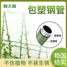 园艺支柱包塑钢管支花架黄瓜豆角葡萄种菜植物爬藤架支撑杆绿植架