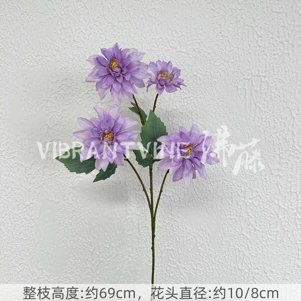 dalia violeta claro