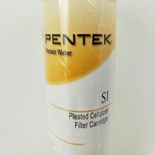 S1 美国PENTAIR-PENTEK（滨特尔）纤维素褶叠滤芯