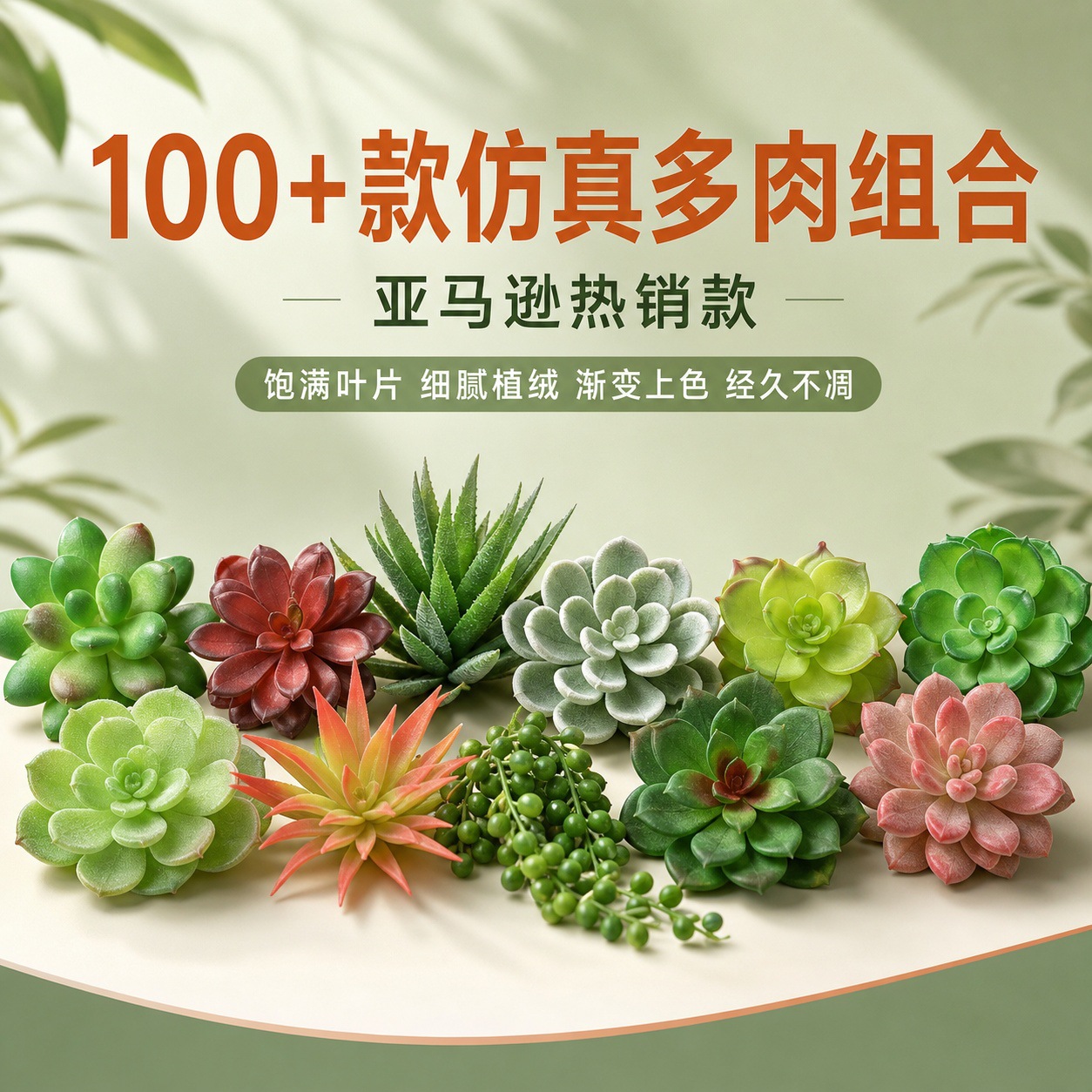 6101多肉 (4).jpg