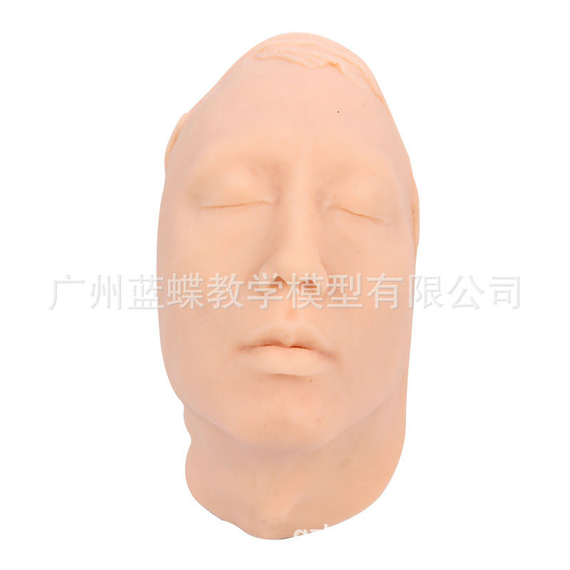 ���Թ轺ͷģ �沿ע��Ƥ������沿ģ�� ΢��ѧϰָ����ѧ����