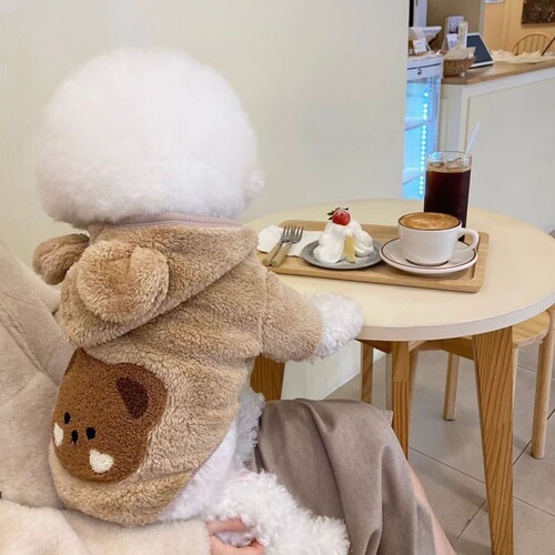Autumn and winter cute bear hooded fleece Bichon teddy dog ​​clothes cat warm feet pet clothes