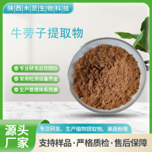 药食同源原料 工厂现货发售 牛蒡苷30% 牛蒡子提取物