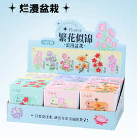 小花农迷你趣味盆栽 地摊礼品 微型花盆 福州厂家批发幼儿园礼品