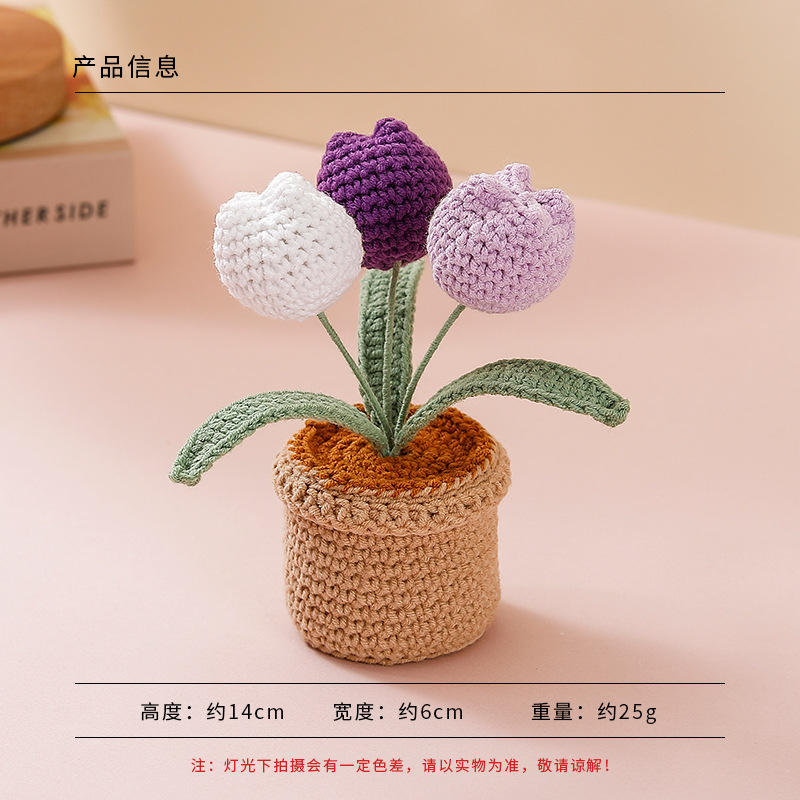 Flor en maceta - Tulipanas de tres cabezas (púrpura degradado)