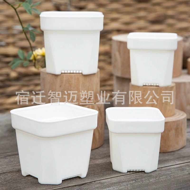 4/5.3/6.4/8 см. Белый квадрат с мясом. Маленький белый горшок с черенками.